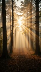 Golden Sunbeams Piercing Through a Foggy Forest Nature Scene Tranquil Environment Serene Viewpoint