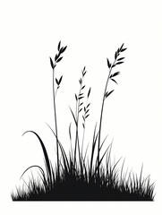 Elegant Silhouette of Tall Grass. Natural Botanical Design for Organic Landscaping