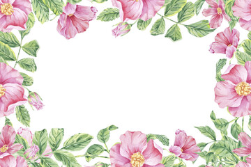 Frame rosehip with flowers, buds and leaves. Watercolor illustration hand drawn isolated on white background. Botanical blooming sketch cherry blossom for nature greeting card, wedding invitation