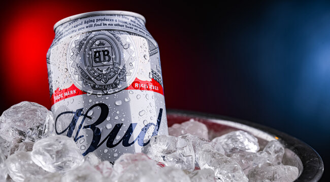 Can of Bud beer in bucket with ice
