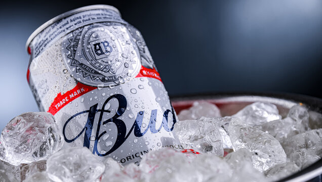 Can of Bud beer in bucket with ice