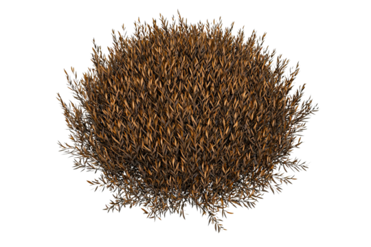 PNG of A vibrant, bushy mound of golden-brown grass, perfect for adding a natural touch to any design.