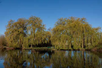 In den Berkelauen bei Gescher im Münsterland
