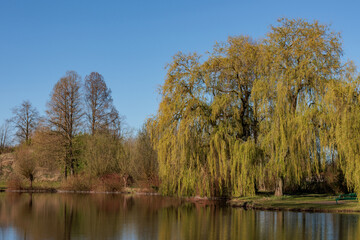 In den Berkelauen bei Gescher im Münsterland