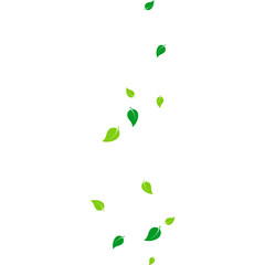 Flying Leaves Illustration