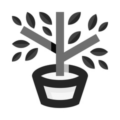 Noir Plant Pot Lemon Tree Flat Icon