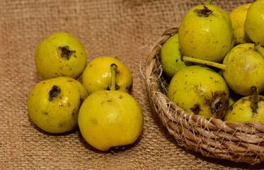 wild plants and wild fruits. wild pear photos.