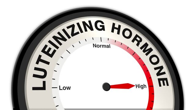 Luteinizing Hormone text or word shown with a barometer or tachometer-style gauge, representing varying levels of hormone secretion and its impact on reproductive health