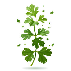 Fototapeta premium Vibrant chopped dry parsley leaves floating mid-air, isolated on crisp white background, ultra-realistic, clipping path included, perfect for food packaging and culinary design