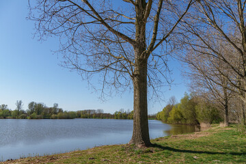 Die Bücherstadt Bredvoort in den Niederlanden