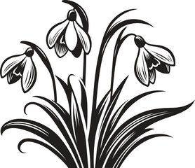 Snowdrop stylized vector