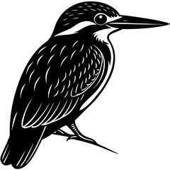 Kingfisher bird silhouette art vector illustration 