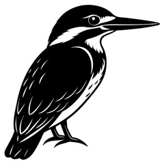 Kingfisher bird silhouette art vector illustration 
