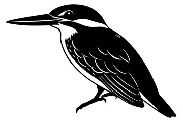 Kingfisher bird silhouette art vector illustration 