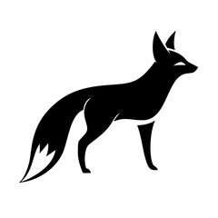 Obraz premium silhouette of a fox