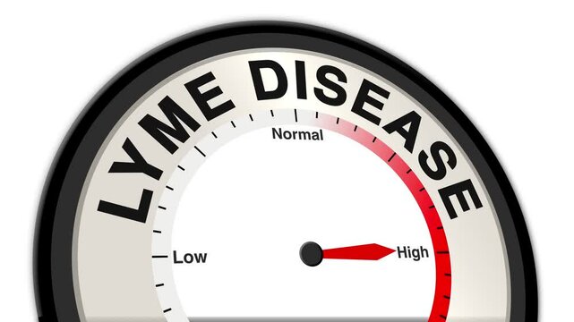 Lyme Disease text or word shown with a barometer or tachometer-style gauge, representing varying levels of infection severity and symptoms caused by Lyme bacteria transmitted through tick bites