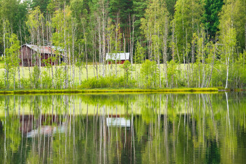 Summer sunlight reflecting on a tranquil Swedish lake surrounded by lush greenery and rustic cottages