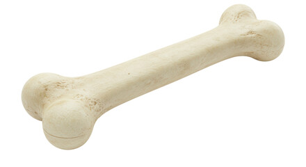 Isolated Dog Bone