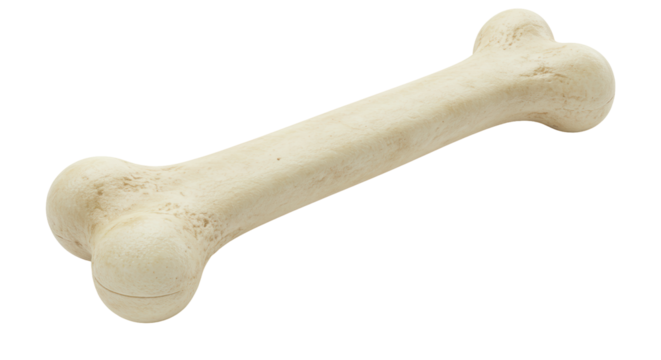 Isolated Dog Bone