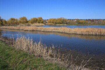 A body of water with a bridge over it