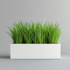 Green grass in a white rectangular planter against a gray studio backdrop