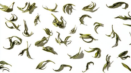 Obraz premium Fresh green tea leaves in a circular pattern, a minimalist botanical display of natural harmony. 