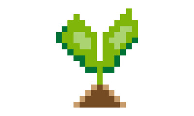 Fototapeta premium leave sprout pixel art
