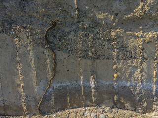 Dry root in front of Weathered Cheap Uneven Concrete Surface with Pebbles under tangential harsh light