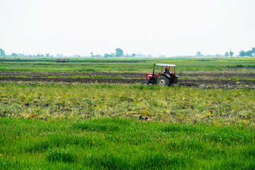 A tractor driving through the middle of a green field.