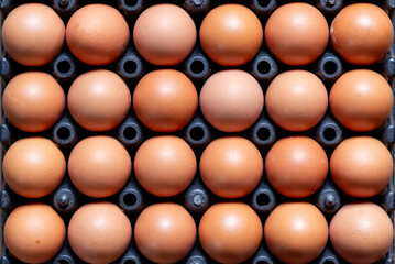 Top view of chicken eggs in plastic tray