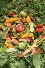 Zero waste, composting concept. Compost pile in garden close up. Bio waste, vegetable and fruit...