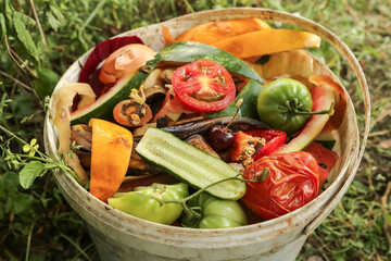 Zero waste, composting, bio waste concept. Vegetables and fruits food scraps in bucket close up for...
