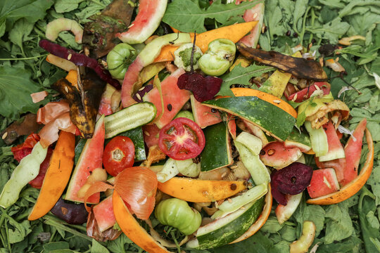 Zero waste, composting concept. Compost pile in garden close up top view. Bio waste, vegetables and fruits food scraps background, texture