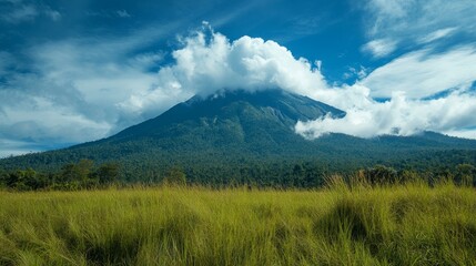 portrait of the beauty of the mountains with the surrounding nature