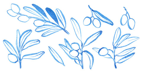 Watercolor hand drawn olive branches set. Linear brush drawn olive brunch with leaves and olive. Use as print, poster, invitation, element design, textile, package, clothes print, stickers.