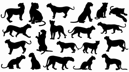 set of lionesses silhouette vector on white background