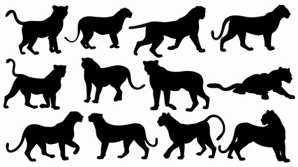 set of lionesses silhouette vector on white background
