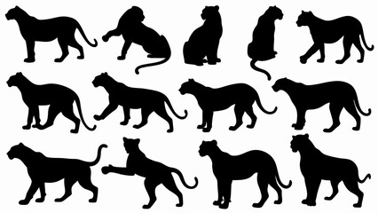 set of lionesses silhouette vector on white background