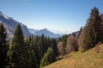 Sentier du char, Bellecombe-en-Bauges