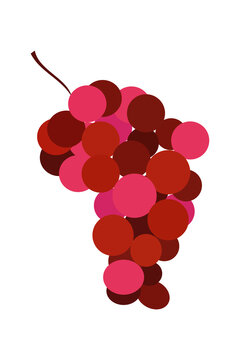 Minimal illustration of colorful grape bunch with burgundy stem on white background featuring various shades of green in a clean, modern style perfect for wine labels, food graphics, healthy lifestyle