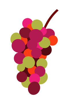 Minimal illustration of colorful grape bunch with burgundy stem on white background featuring various shades of green in a clean, modern style perfect for wine labels, food graphics, healthy lifestyle