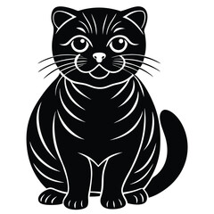 scattish fold vector