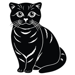 scottish fold vector