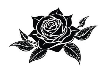 black and white rose