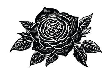 black and white rose