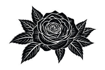 black and white rose