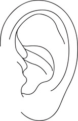 Isometric Ear Anatomy Line Drawing Vector
