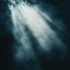 Fototapeta premium Light beams shining through fog and branches in dark forest