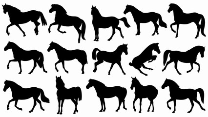 set of Horse silhouette vector on white background