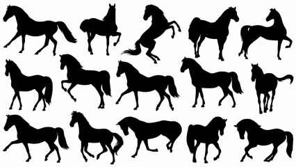 set of Horse silhouette vector on white background